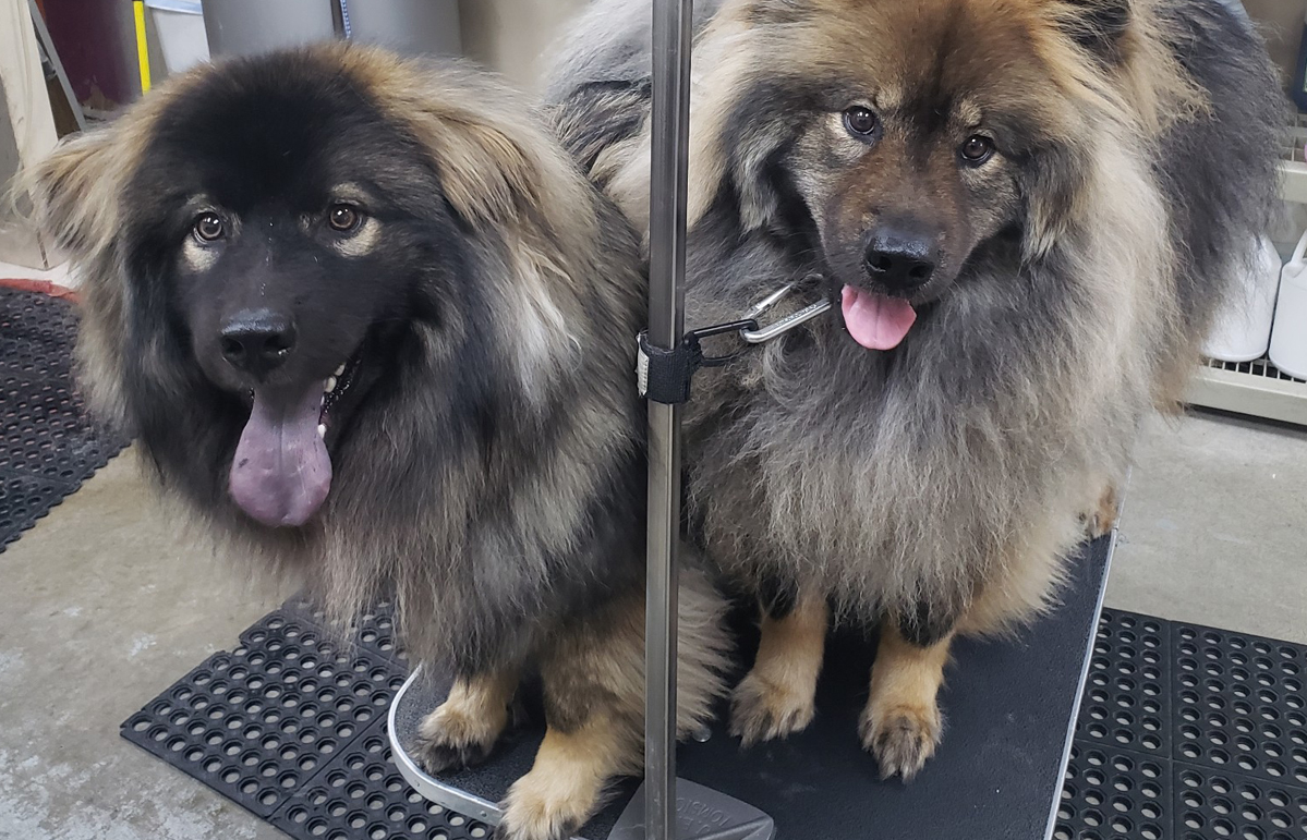 Free HTML5 Website Template