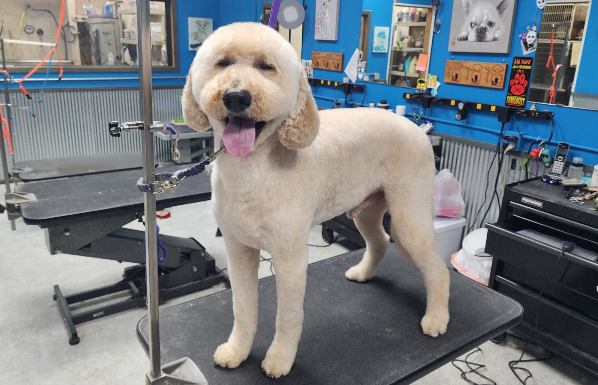 Furry Tails Champlin