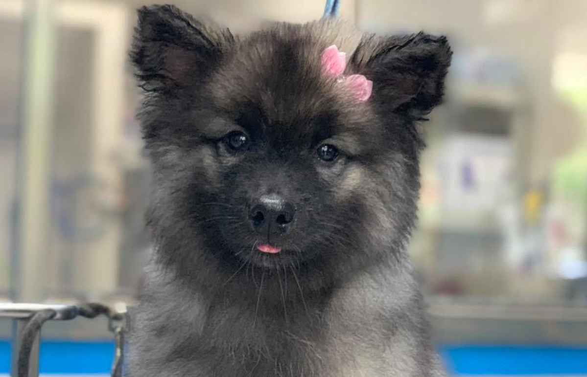 Free HTML5 Bootstrap Template by FreeHTML5.co