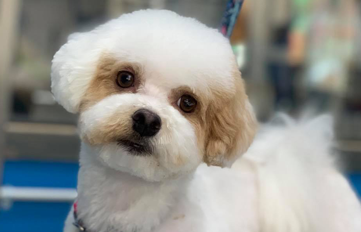 Free HTML5 Bootstrap Template by FreeHTML5.co