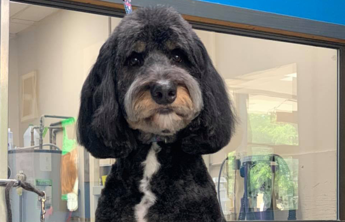 Free HTML5 Bootstrap Template by FreeHTML5.co