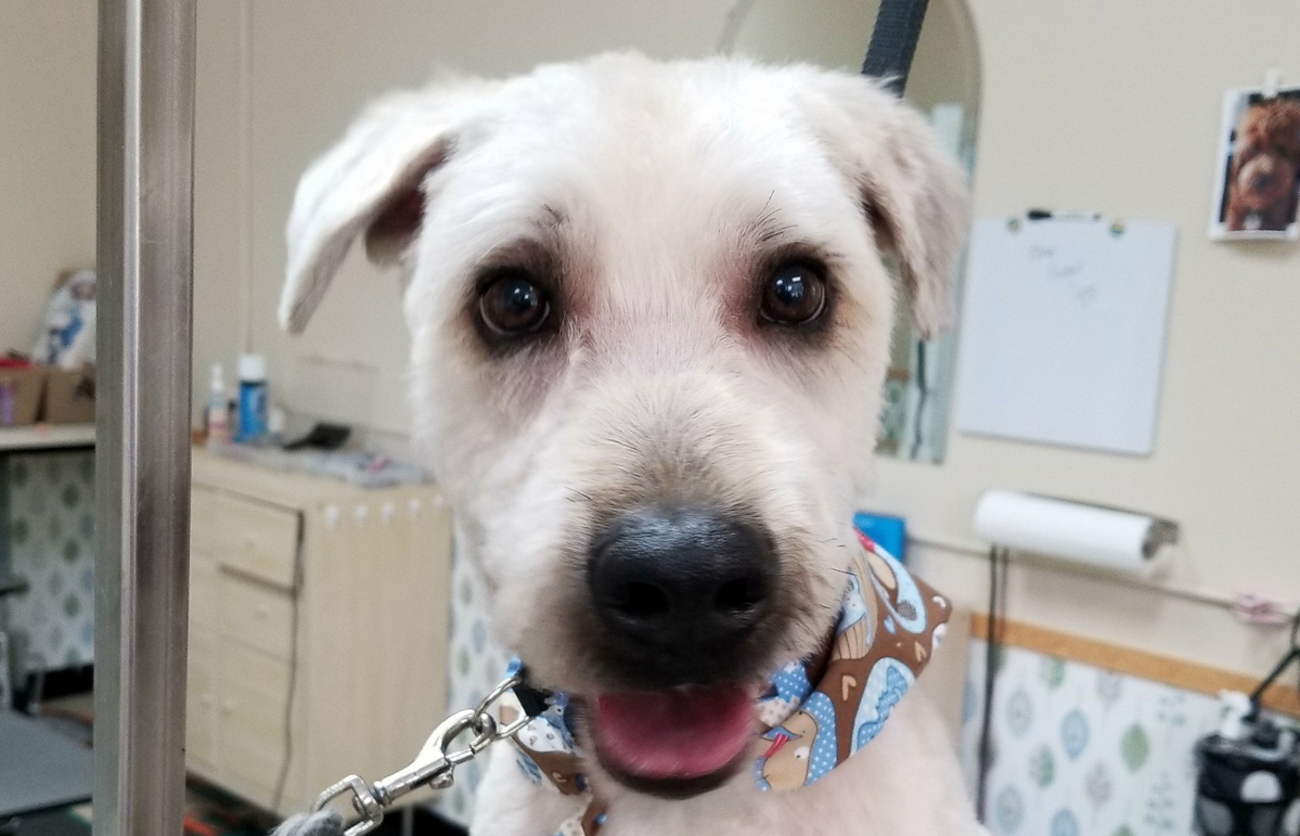 Free HTML5 Bootstrap Template by FreeHTML5.co