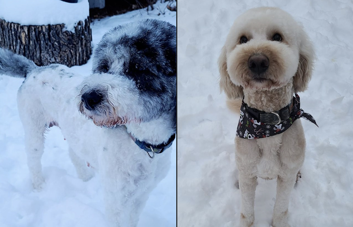 Free HTML5 Bootstrap Template by FreeHTML5.co