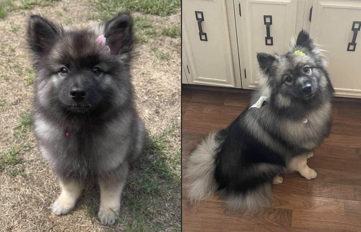 Free HTML5 Bootstrap Template by FreeHTML5.co