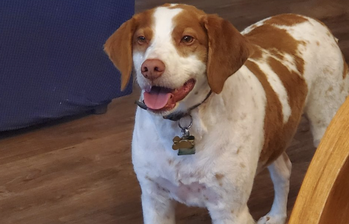 Free HTML5 Bootstrap Template by FreeHTML5.co